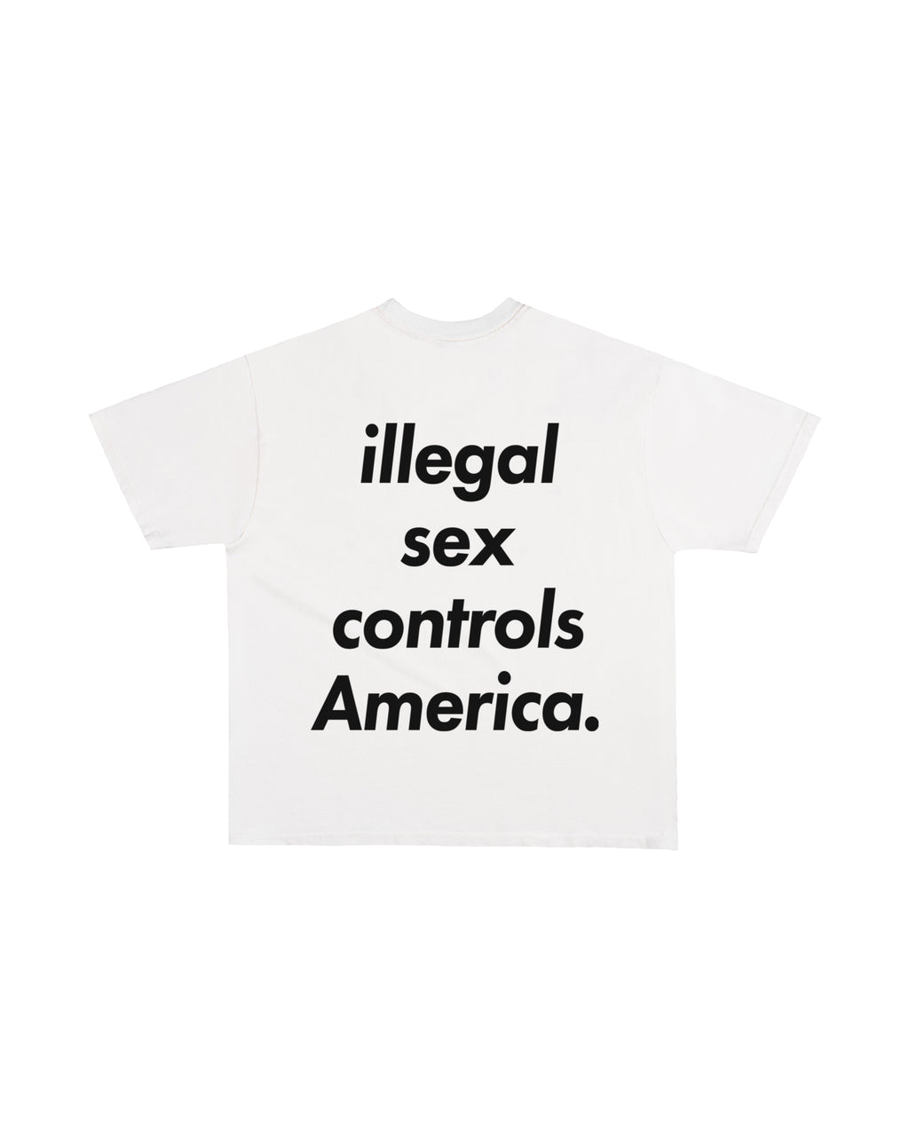 Third Rail 'Illegal Sex Controls America' t-shirt — back view, Epstein-themed political graphic tee