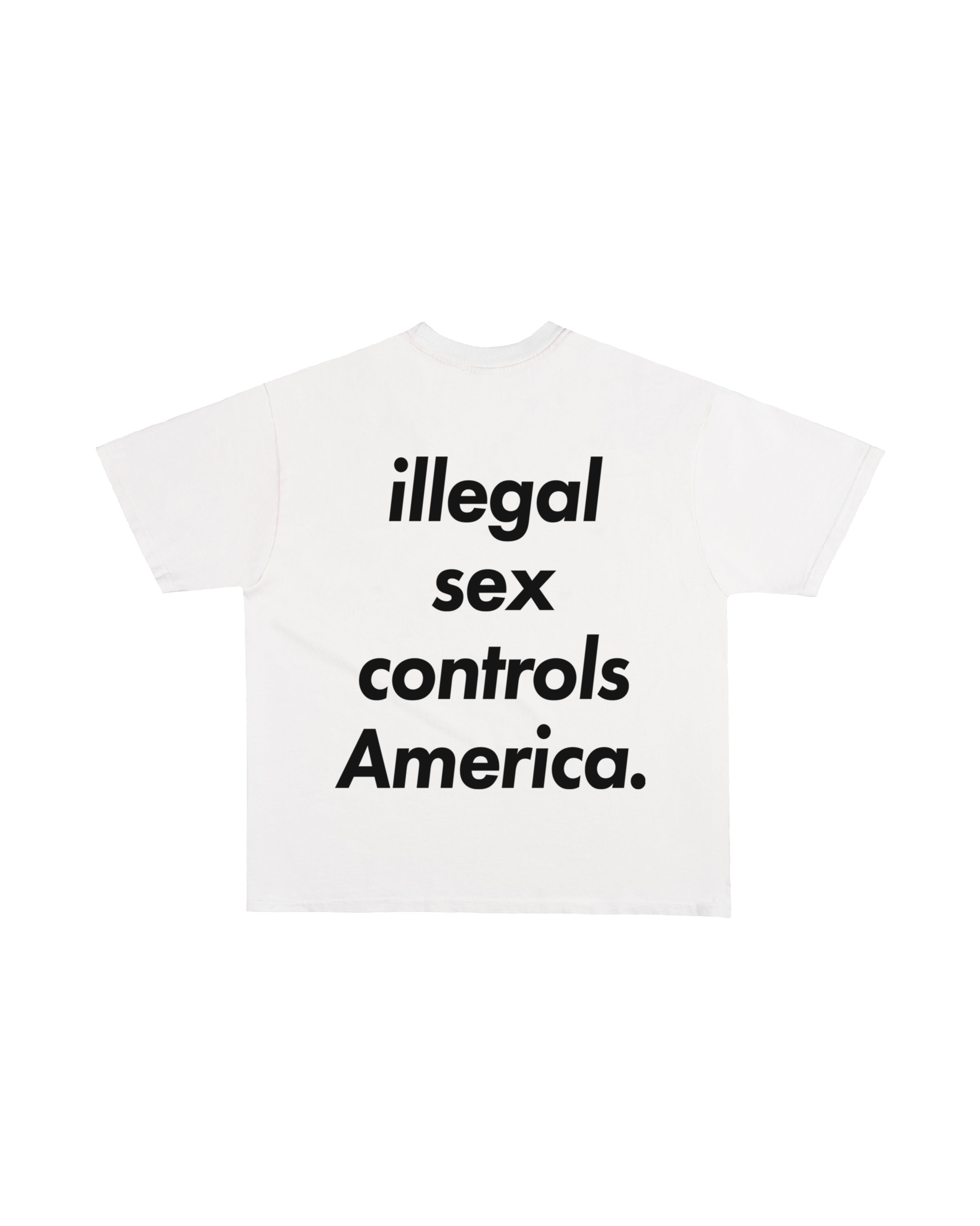 Third Rail 'Illegal Sex Controls America' t-shirt — back view, Epstein-themed political graphic tee