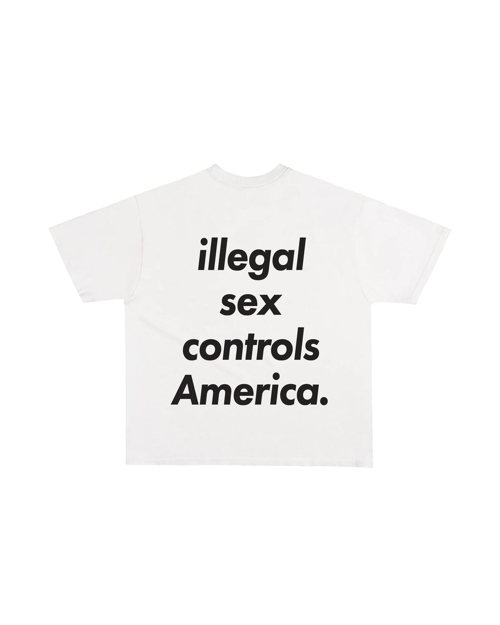 Third Rail 'Illegal Sex Controls America' t-shirt — back view, Epstein-themed political graphic tee