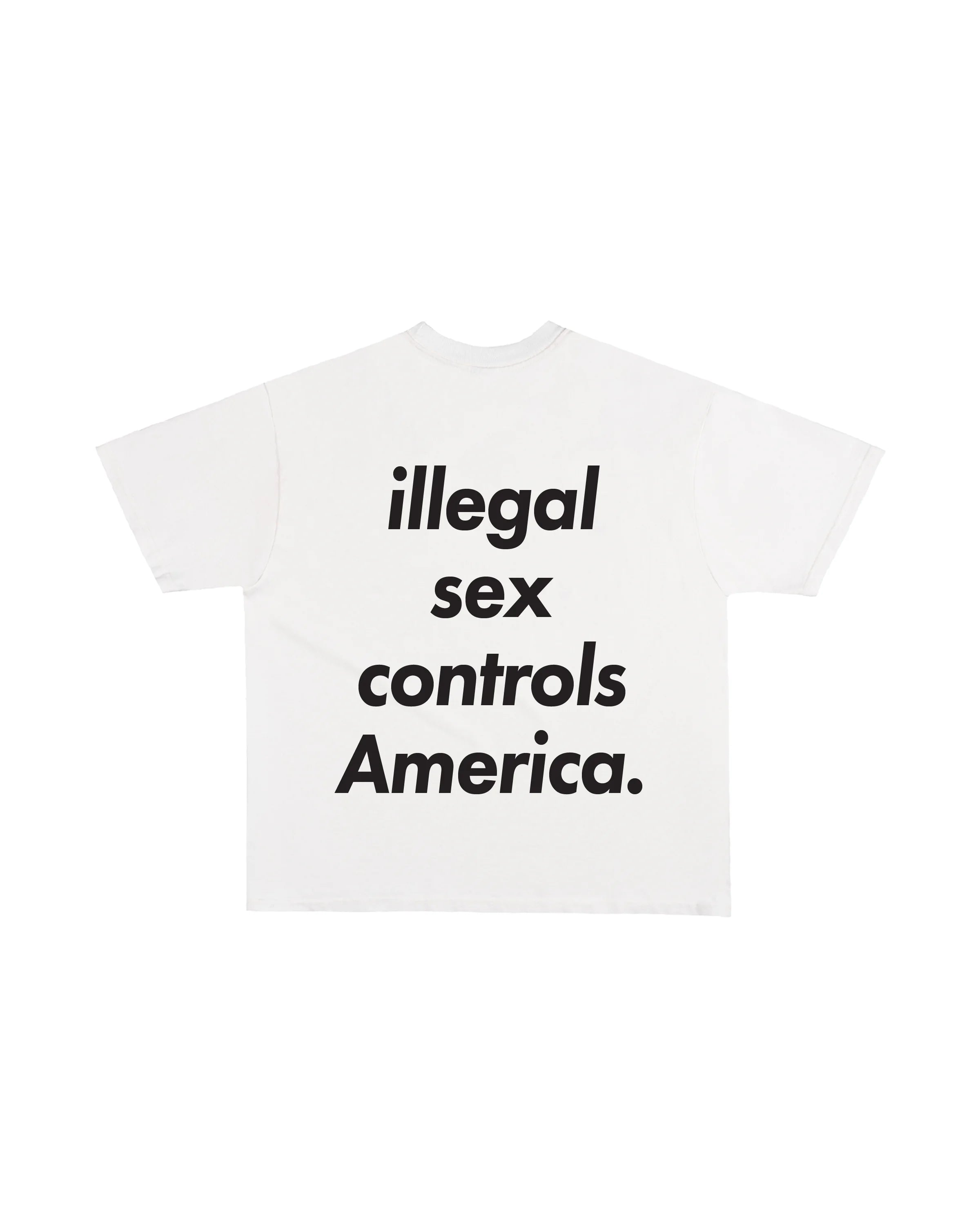 Third Rail 'Illegal Sex Controls America' t-shirt — back view, Epstein-themed political graphic tee