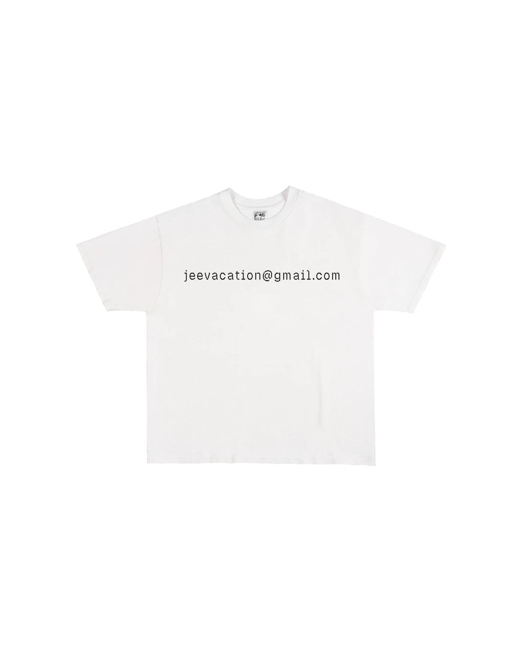 Third Rail 'jeevacation@gmail.com' t-shirt — front view, Epstein documents political graphic tee