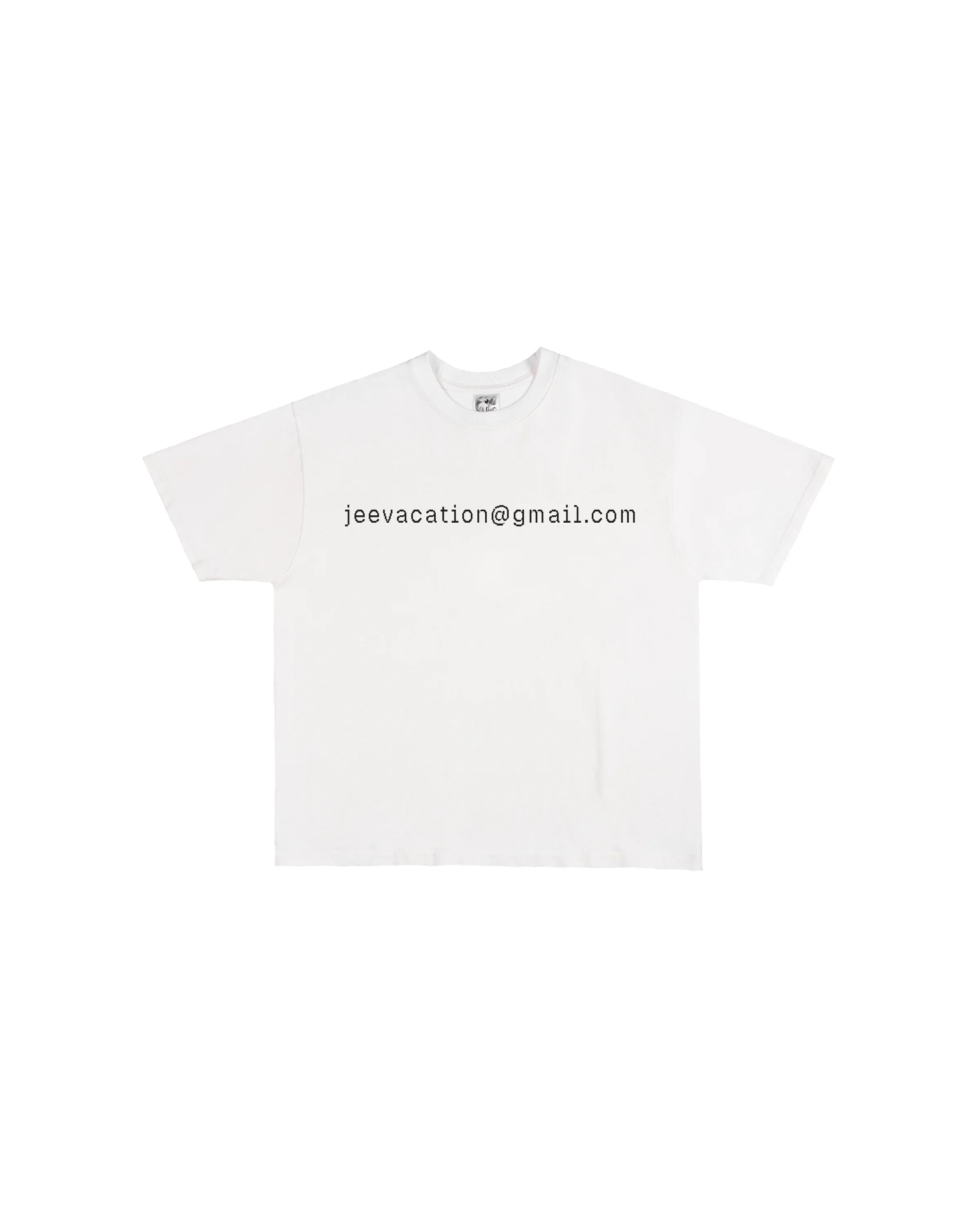 Third Rail 'jeevacation@gmail.com' t-shirt — front view, Epstein documents political graphic tee